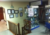 Local comercial en venta con 220m² en Vigo, CALLE JULIA MINGUILLÓN, 2 foto