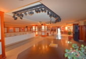 380m² bar for sale in Nigrán photo