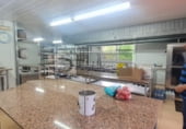 Local comercial
en venda
amb 20000m² a Celanova, a la zona de Barxa foto
