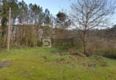 Taller
en venda
amb 2500m² a Leiro foto