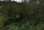 Taller
en venda
amb 2500m² a Leiro foto