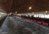 Nave Industrial en venta con 24366m² en O Pereiro de Aguiar foto