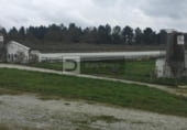 Nave Industrial en venta con 24366m² en O Pereiro de Aguiar foto