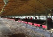 Nave Industrial en venta con 24366m² en O Pereiro de Aguiar foto