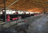 Nave Industrial en venta con 24366m² en O Pereiro de Aguiar foto