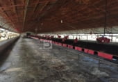 Nave Industrial en venta con 24366m² en O Pereiro de Aguiar foto