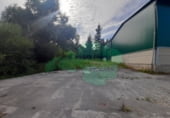 4400m² warehouse for sale in Escalante photo