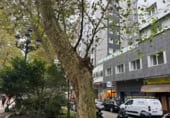 Oficina en alquiler con 210m² en Santander, Centro foto