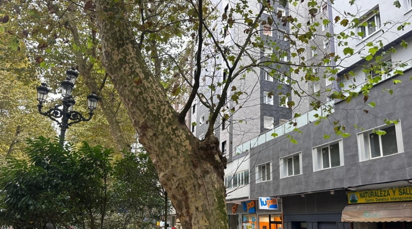 Oficina
