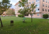 308m² commercial premises for sale in Narón, AC-566 photo