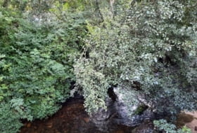 Foto 9