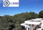 820m² hôtel pour vente à Pilar de la Horadada, Avenida del Pino Pc photo