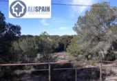 820m² hôtel pour vente à Pilar de la Horadada, Avenida del Pino Pc photo