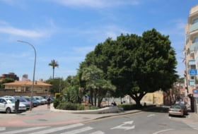 Foto 17