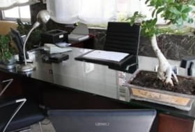 Foto 15
