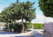 Hotel en venta con 1500m² en Gualchos, Carretera Rambla del Sotillo foto