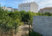 Local comercial en venta con 625m² en Murcia, en la zona de San José de la Vega, Calle Higuera foto