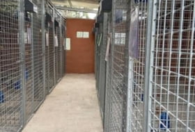Foto 14