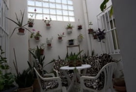 Foto 13