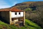 Local comercial en venta con 136m² en Real Sitio, Barrio Cavada foto