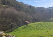 160m² locaux commerciaux pour vente à Real Sitio, Barrio Cavada photo