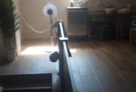 Foto 13