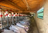 2141m² commercial premises industrial for sale in Cabanes, Polígono 6 photo