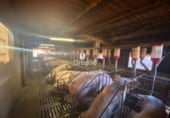 2141m² commercial premises industrial for sale in Cabanes, Polígono 6 photo