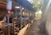 2141m² commercial premises industrial for sale in Cabanes, Polígono 6 photo