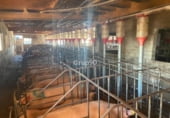 2141m² commercial premises industrial for sale in Cabanes, Polígono 6 photo