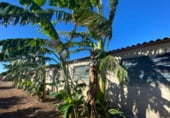 2141m² commercial premises industrial for sale in Cabanes, Polígono 6 photo