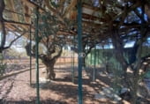2141m² commercial premises industrial for sale in Cabanes, Polígono 6 photo