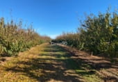 2141m² commercial premises industrial for sale in Cabanes, Polígono 6 photo