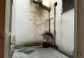 Fleca
en venda
amb 213m² a Villarreal, Glorieta del Veinte de Febrero foto
