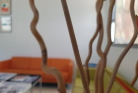 Foto 9