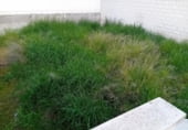 Local comercial en venta con 900m² en Ciudad Real, Calle Cruz del Sur foto