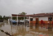 Local comercial
en venda
amb 280m² a Còrdova, Calle Sauce foto