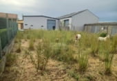 220m² entrepôt industriel pour vente à Baronzás, BARONZAS photo