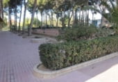 Local comercial en venta con 170m² en Monforte del Cid, Calle José Mirambell foto