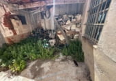 Local comercial en venta con 495m² en Novelda, Calle Mosén Esteban foto