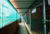 Peluqueria en venta con 771m² en Fuentelahiguera de Albatages, CM-1002 foto
