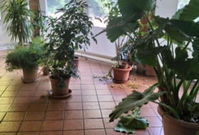 Foto 9