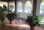 Restaurante en venta con 440m² en Mercadal, Passeig de Menorca foto
