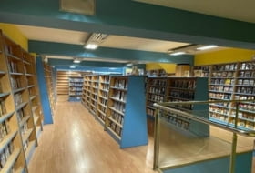 Foto 7