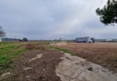 2000m² restaurant pour vente à Alpicat, photo