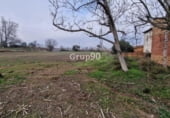 2000m² restaurant pour vente à Alpicat, photo