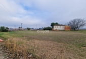 2000m² restaurant pour vente à Alpicat, photo