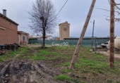 2000m² restaurant pour vente à Alpicat, photo