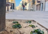 Perruqueria
en venda
amb 55m² a Elx, Calle Esperidión Porta Requesens foto