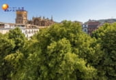 Edificio en venta con 343m² en Granada, en la zona de Sagrario, Calle Zacatín foto